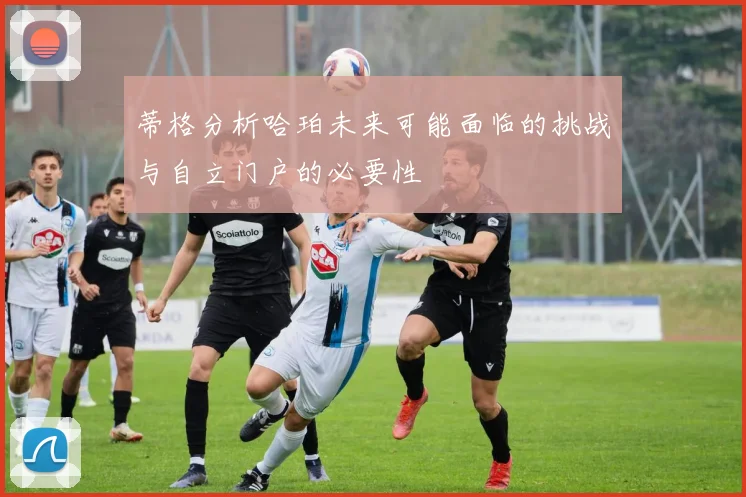 蒂格分析哈珀未来可能面临的挑战与自立门户的必要性