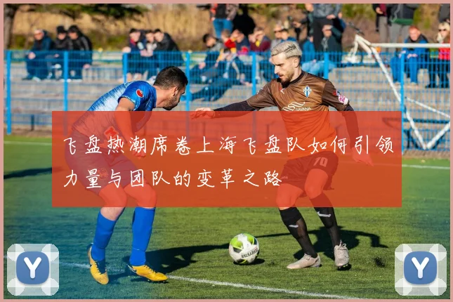 飞盘热潮席卷上海飞盘队如何引领力量与团队的变革之路